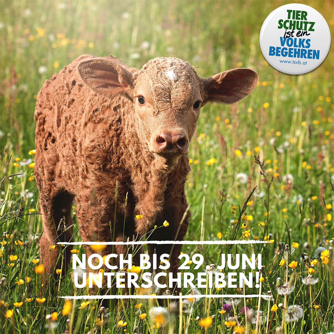 neukuhfoto